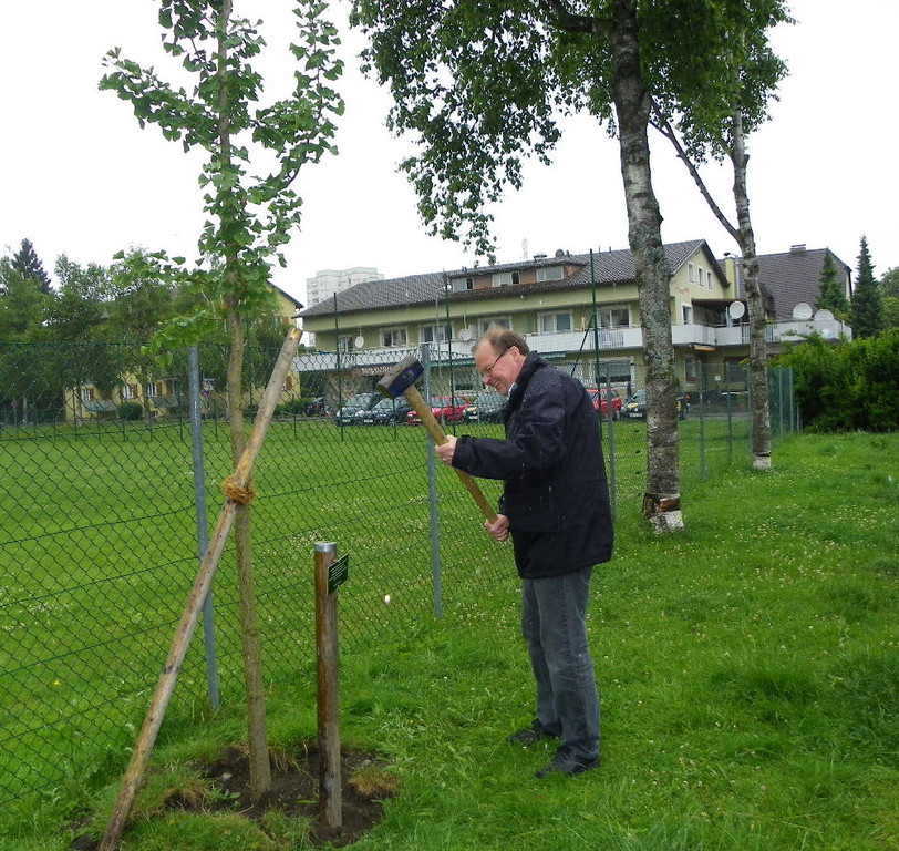 114_9643_JPG-1340746098