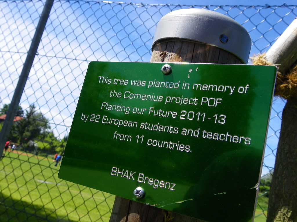 115_0284_JPG-1340746151