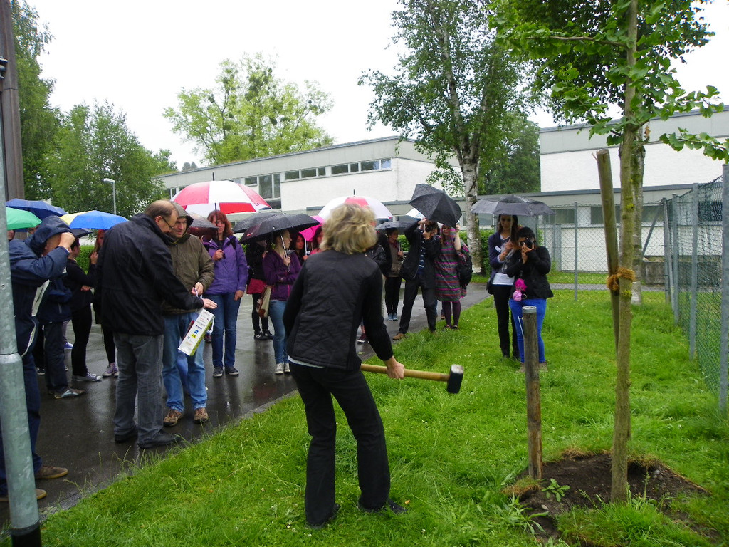 114_9646_JPG-1340746115