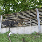 26062012vua1de01001aktivnews_070.jpg