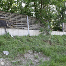 26062012vua1de01001aktivnews_045.jpg