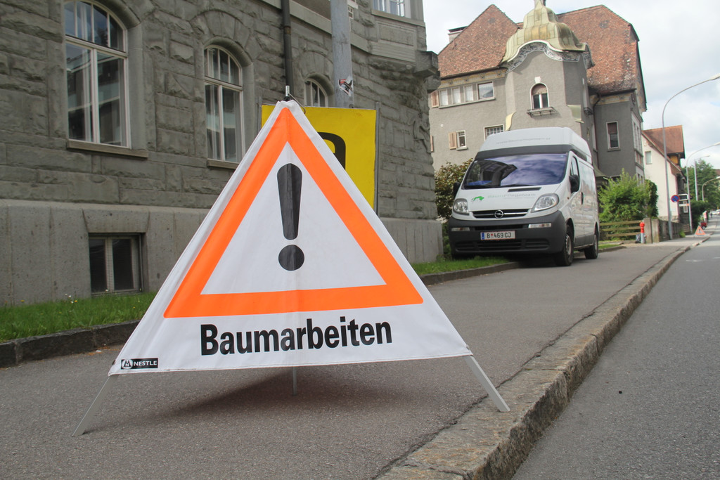 Baum Gef__llt_Emir Uysal _9__JPG-1340792859