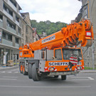 Baum Gef__llt_Emir Uysal _15__JPG-1340792866