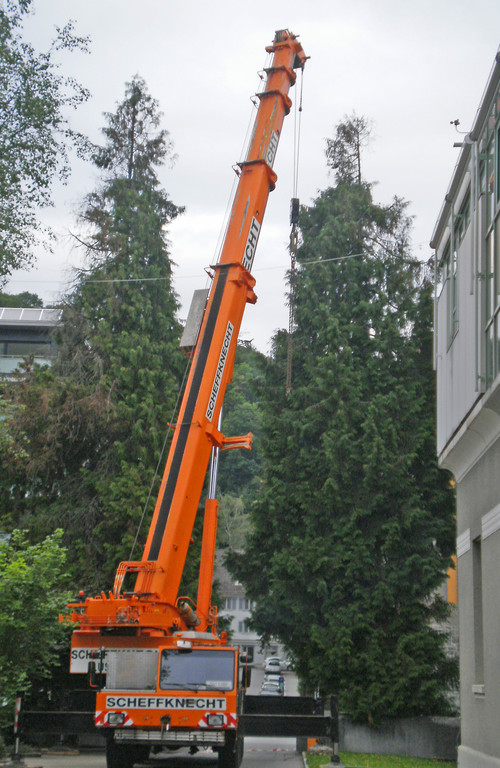 Baum Gef__llt_Emir Uysal _10__JPG-1340792860