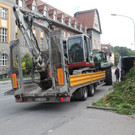 Baum Gef__llt_Emir Uysal _3__JPG-1340792767