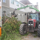 Baum Gef__llt_Emir Uysal _4__JPG-1340792769