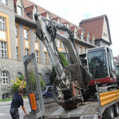 Baum Gef__llt_Emir Uysal _5__JPG-1340792770