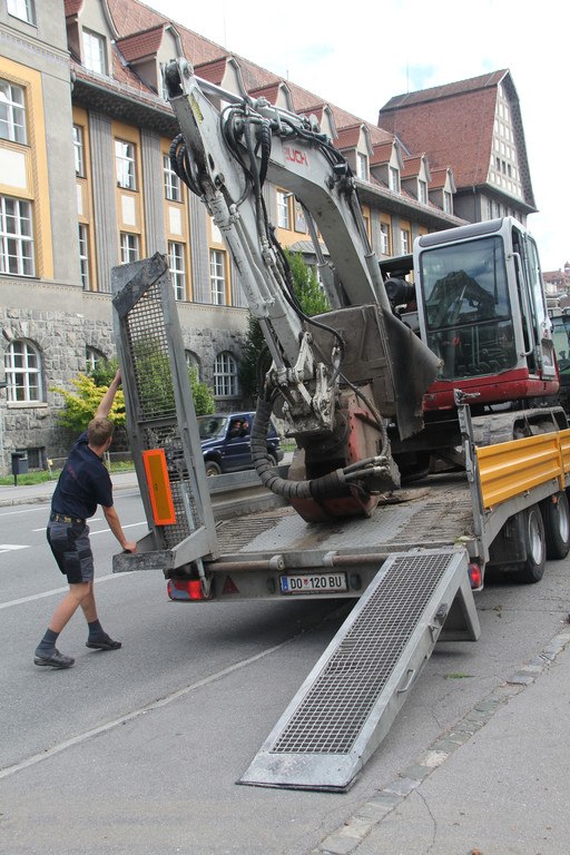 Baum Gef__llt_Emir Uysal _5__JPG-1340792770