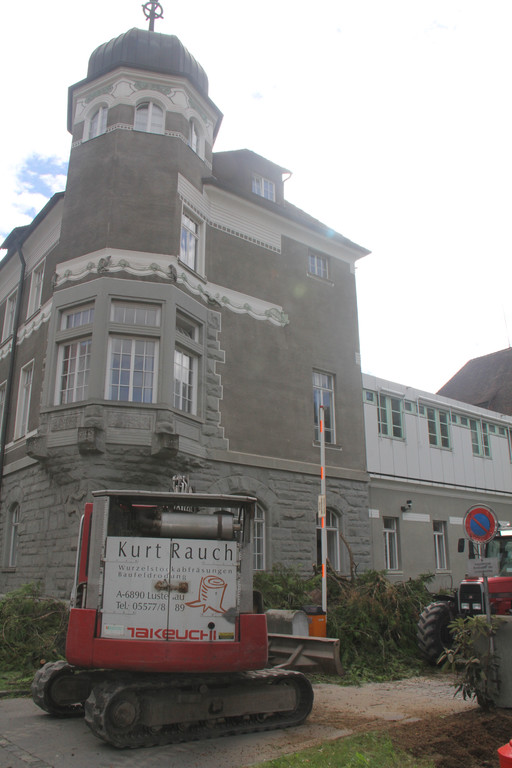 Baum Gef__llt_Emir Uysal _6__JPG-1340792854