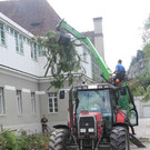 Baum Gef__llt_Emir Uysal _7__JPG-1340792856