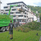 Baum Gef__llt_Emir Uysal _16__JPG-1340792868