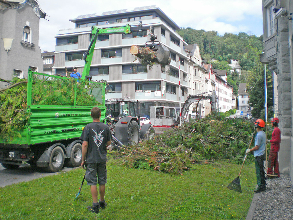 Baum Gef__llt_Emir Uysal _16__JPG-1340792868