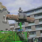 Baum Gef__llt_Emir Uysal _17__JPG-1340792869