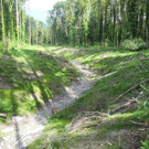 DSCN5775_JPG-1340863730