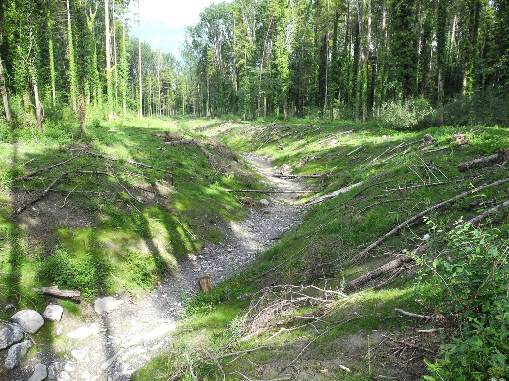 DSCN5775_JPG-1340863730