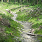 DSCN5776_JPG-1340863759