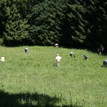Kopie von Fotos 2011 1744.jpg