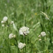 Kopie von Fotos 2011 1773.jpg