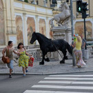 Pferd galoppiert durch Salzburg