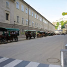 normal_28062012_pferdeausriss_WF_013.jpg