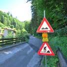 DSC_0014-1_bearbeitet-11.jpg
