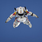 Baumgartner im freien Fall