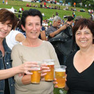 28_6_2010 Musikfest Krumbach5.jpg