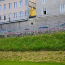 normal_28062012_stadt_konzert_WF_010.jpg