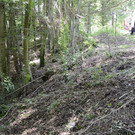 29062012vuglasenbachat05004aktivnews_27.jpg