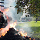 ABD0020-20120630.jpg