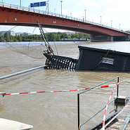 Leserreporter: Gesunkenes Fischerboot (Daube) auf der Donauinsel
