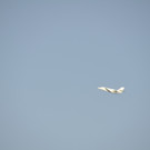 29062012walsde01005aktivnews_066.JPG