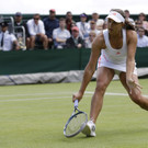 DAB1163-20120630.jpg