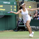IBD0229-20120630.jpg