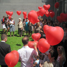 IMG_3849_JPG-1341071666