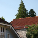 normal_30062012fmt_dacheisturz_mw_05.JPG