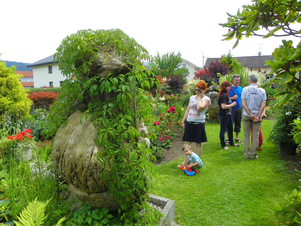 115_1288_JPG-1341098052