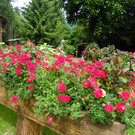 115_1281_JPG-1341098025