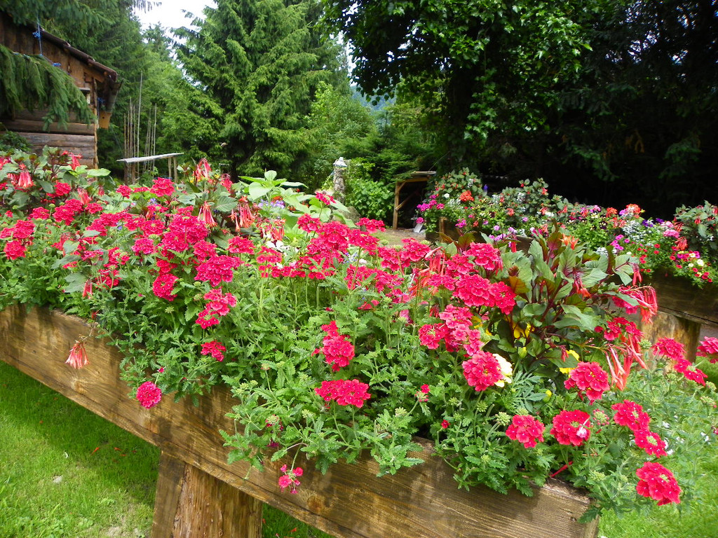 115_1281_JPG-1341098025