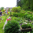 115_1282_JPG-1341098031