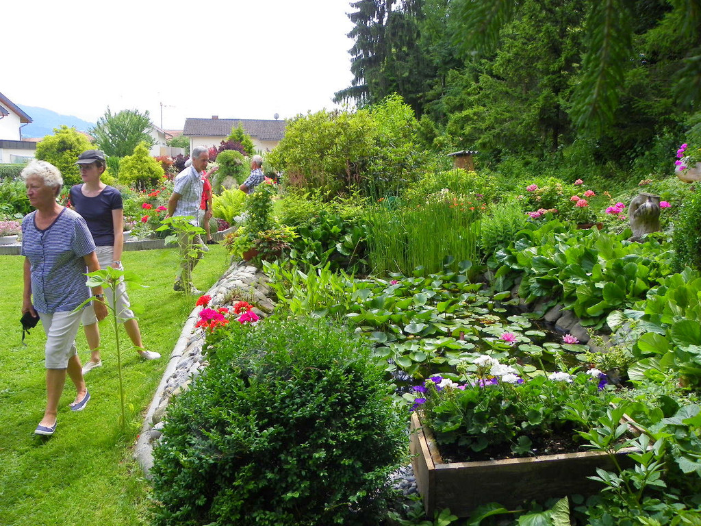 115_1282_JPG-1341098031