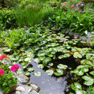 115_1283_JPG-1341098037