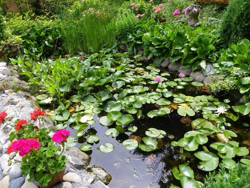 115_1283_JPG-1341098037