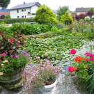 115_1286_JPG-1341098043