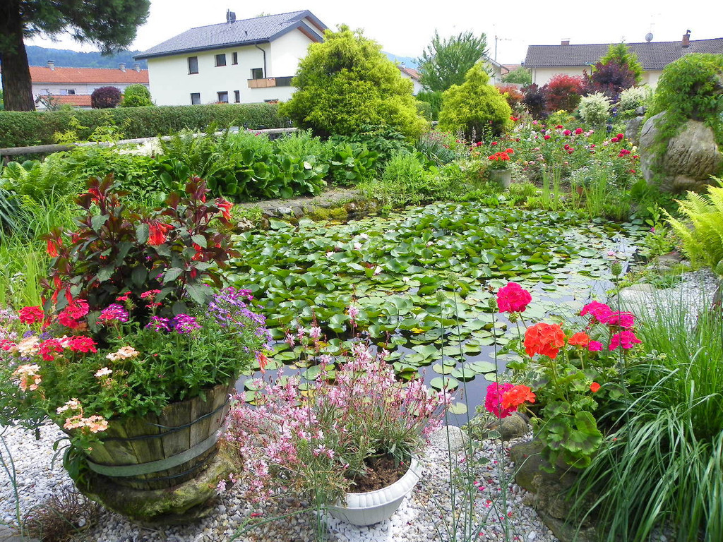 115_1286_JPG-1341098043