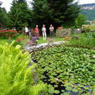 115_1289_JPG-1341098058