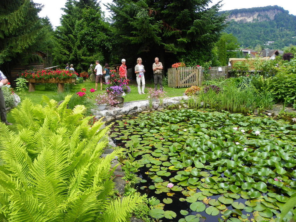 115_1289_JPG-1341098058