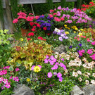 115_1297_JPG-1341098064