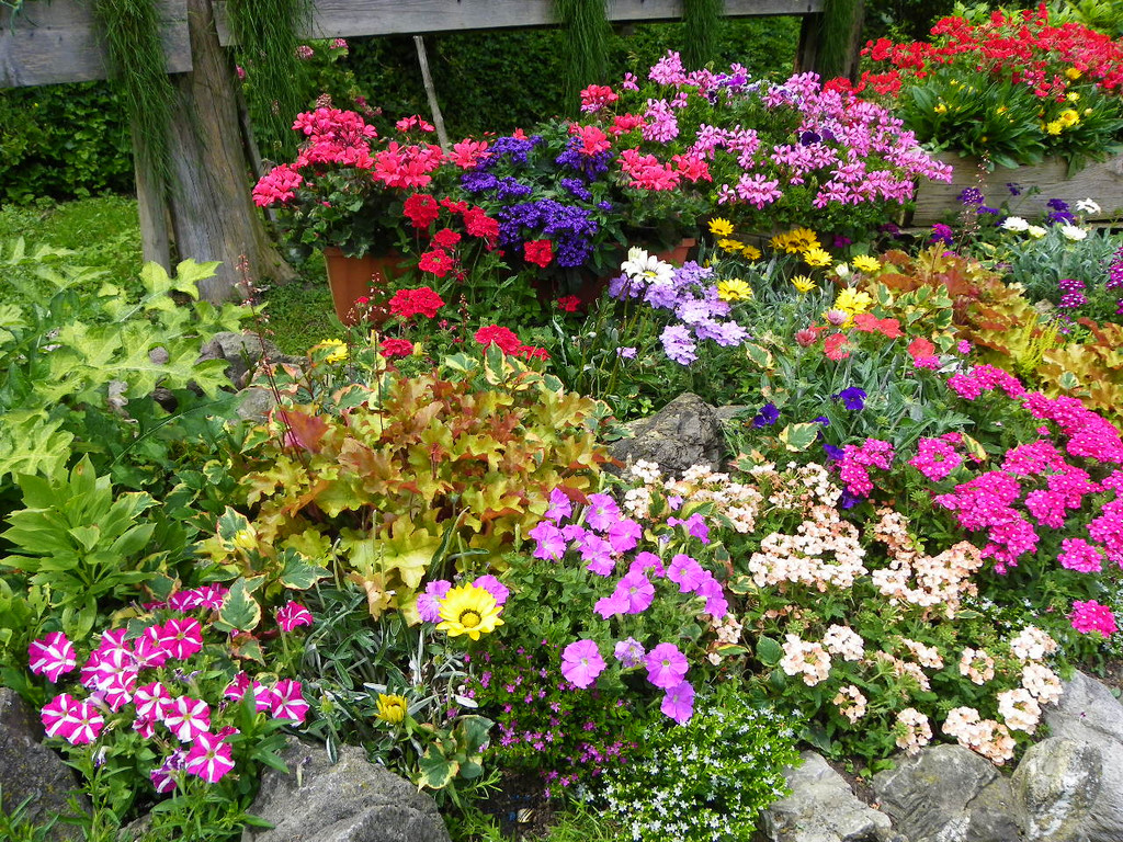 115_1297_JPG-1341098064