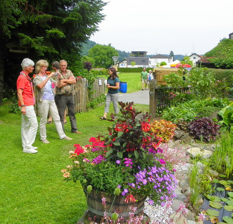 115_1287_JPG-1341098047